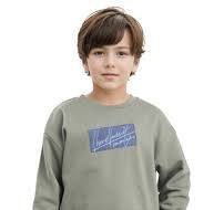 COTTON EMBROIDERED SWEATSHIRT NIRET - DUSKY GREEN