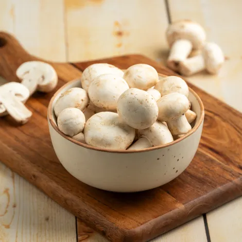 Mushroom