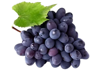 Grapes Blue