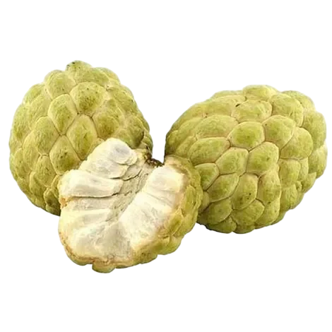 Custard Apple
